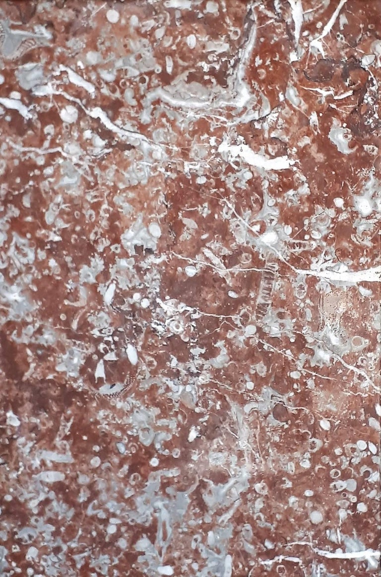  Fireplace in Rouge Royal marble Napoléon III