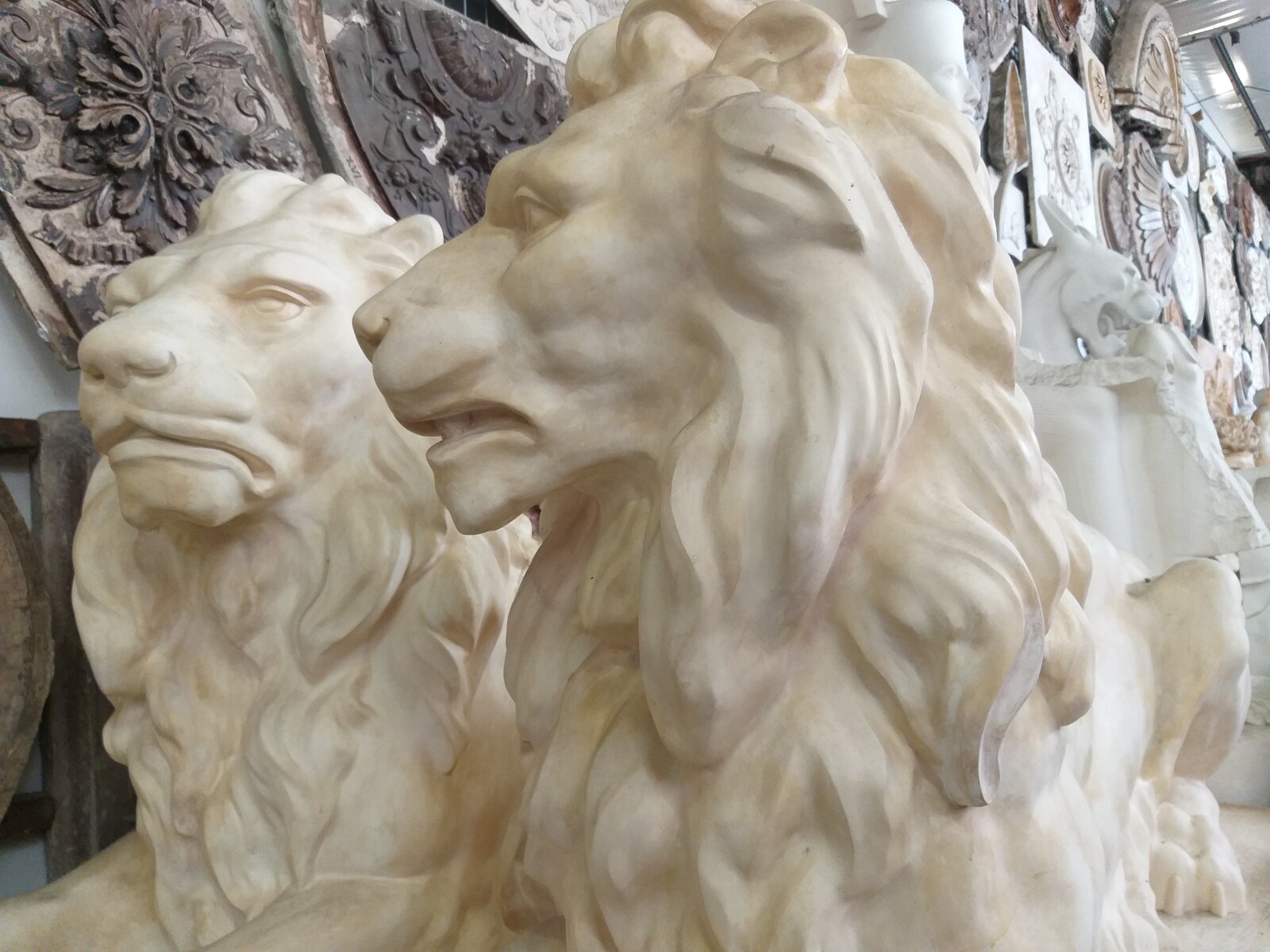 Pair of lions